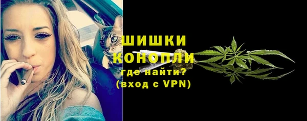 дмт Белокуриха