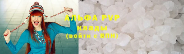 прущие грибы Баксан
