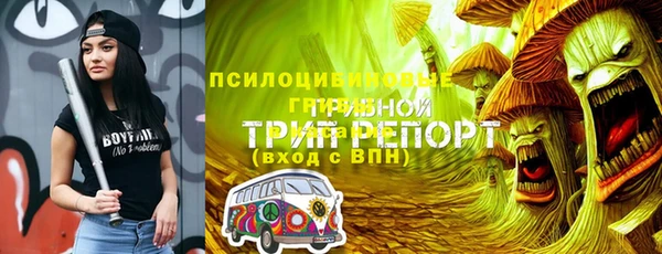 прущие грибы Баксан
